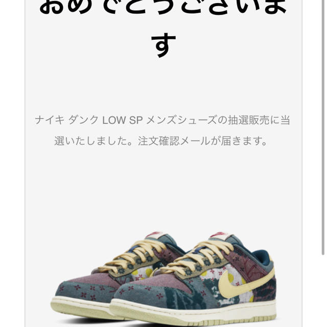 NIKE(ナイキ)のNIKE DUNK メンズの靴/シューズ(スニーカー)の商品写真