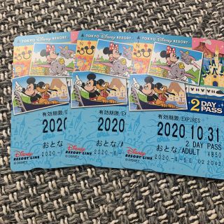 ディズニー(Disney)のディズニーリゾートライン　2daypass (遊園地/テーマパーク)