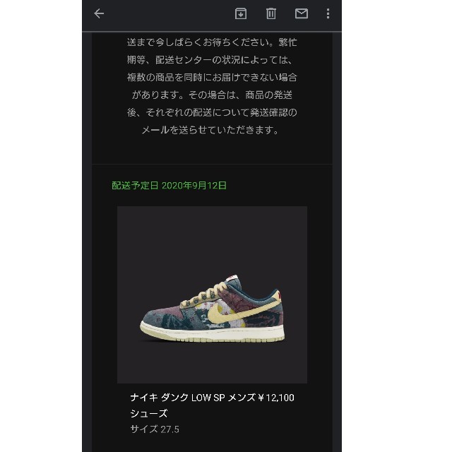 NIKE(ナイキ)のNIKE DUNK LOW COMMUNITY GARDEN メンズの靴/シューズ(スニーカー)の商品写真