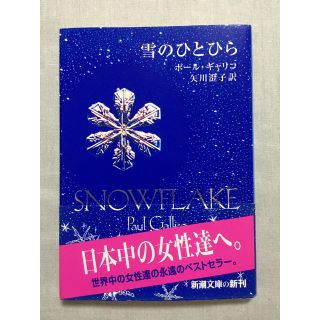 雪のひとひら(文学/小説)