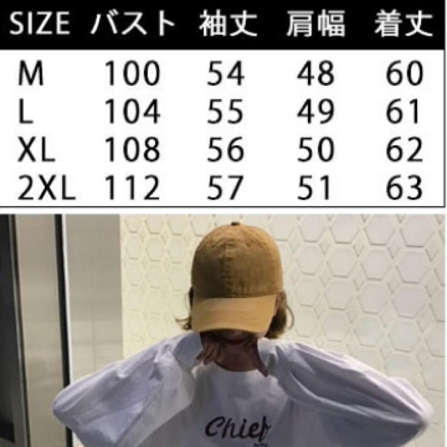 HOTPING(ホッピン)のロングTシャツ レディースのトップス(Tシャツ(長袖/七分))の商品写真