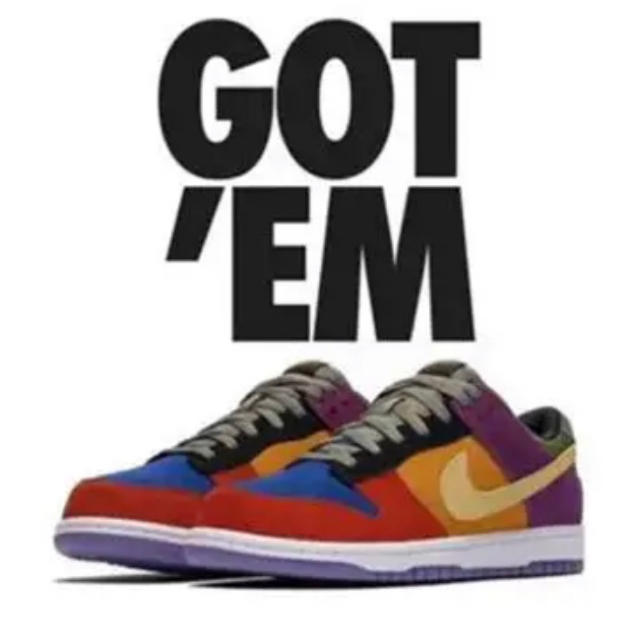 NIKE DUNK LOW VIOTEC クレイジーダンク　26.5cm