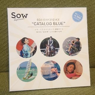 【もとかり様専用☆】SOW EXPERIENCE CATALOG BLUE(その他)