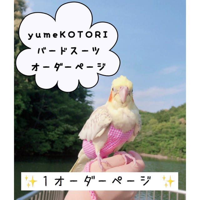 ✨1オーダーページ✨ yumeKOTORI バードスーツ オーダーページ | www