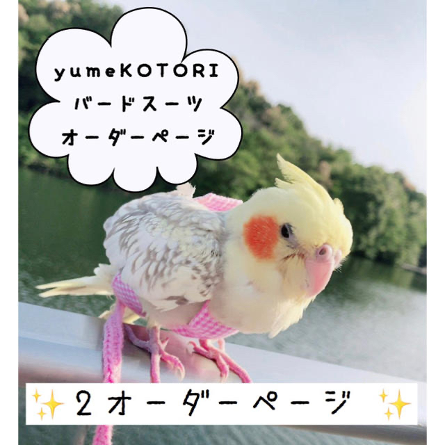 インコのおもちゃオーダーページ♪ yumeKOTORI