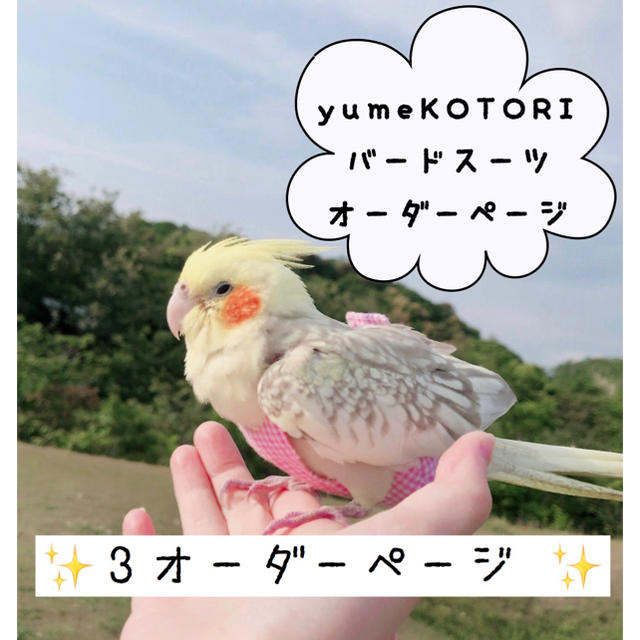 オーダー専用ページＢ♡pom pom bird land