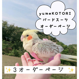 インコおもちゃ　オーダーページ　yumekotori