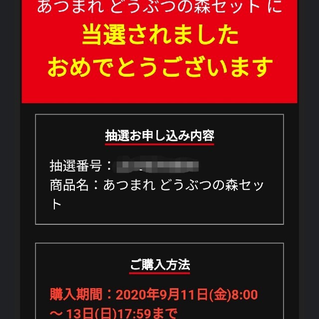 エンタメ/ホビー【新品】NINTENDO Switch あつまれどうぶつの森 セット