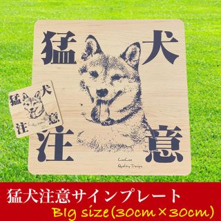 【送料無料】Big猛犬注意サインプレート(柴犬)木目調アクリルプレート (店舗用品)