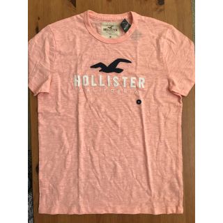 ホリスター(Hollister)のホリスター タグ付き新品 Tシャツ ロゴ刺繍 サイズM(Tシャツ/カットソー(半袖/袖なし))