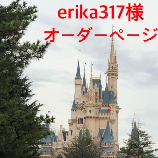 erika317様オーダーページ(バッグ/レッスンバッグ)