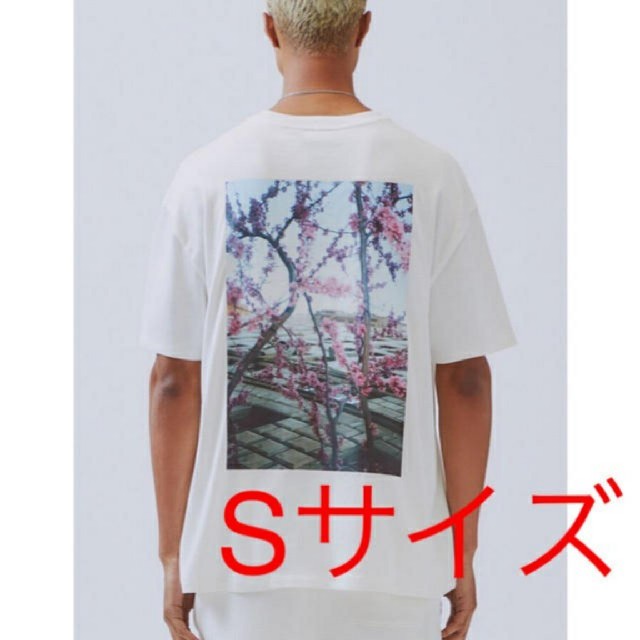 Sサイズ fog essentials photo tee エッセンシャルズ