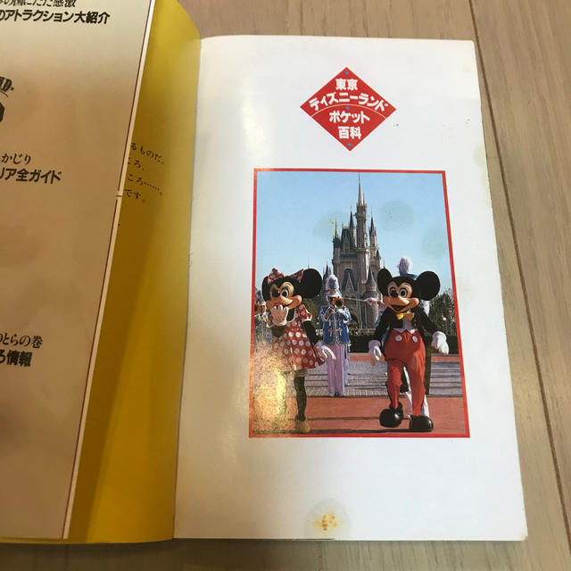 Disney(ディズニー)の東京ディズニーランド　ポケット百科 エンタメ/ホビーの本(地図/旅行ガイド)の商品写真