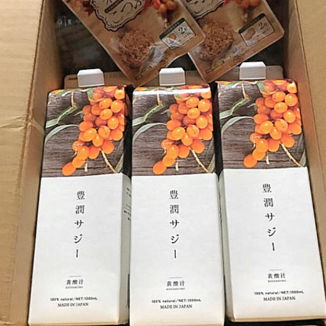 豊潤サジー3本セット | restaurantelburladero.com