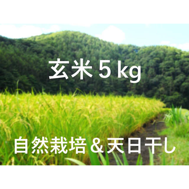 大豆(玉錦)自然栽培　10kg-