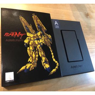 アイリバー(iriver)のAstell&kern SE100 RX0-03 (ポータブルプレーヤー)