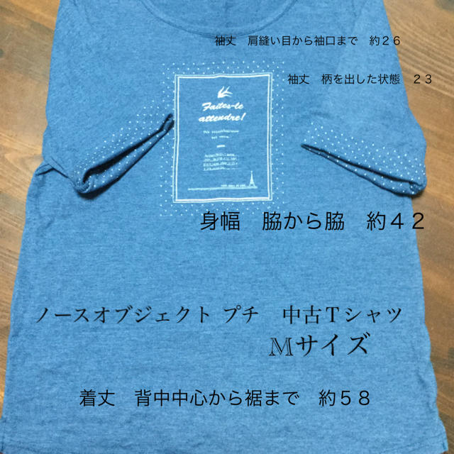 NORTHERN TRUCK(ノーザントラック)のノースオブジェクト プチ　Ｔシャツ　Mサイズ　中古 レディースのトップス(Tシャツ(半袖/袖なし))の商品写真