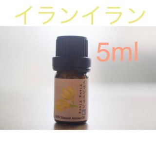 イランイラン　1st グレープフルーツ5mlアロマ用精油　エッセンシャルオイル(エッセンシャルオイル（精油）)