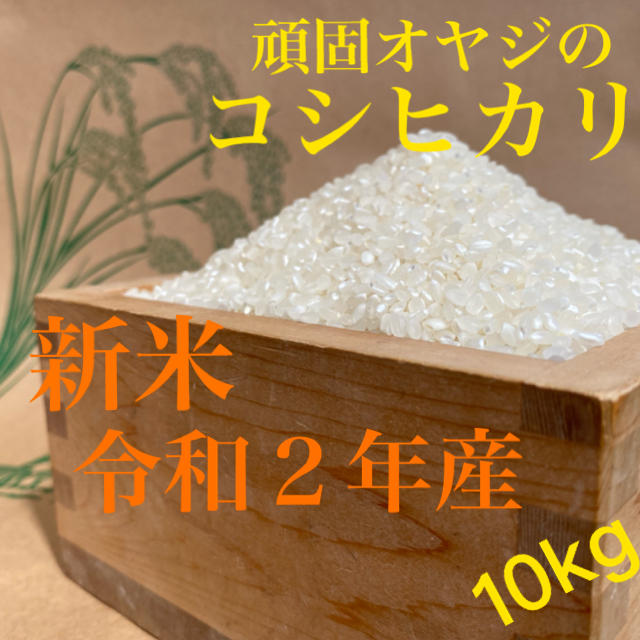 新米‼︎ 令和２年産　頑固オヤジのコシヒカリ近江米10kg　(滋賀湖北・減農薬)