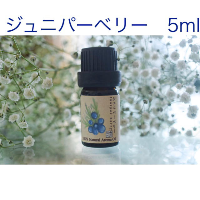 ジュニパーベリー　5ml アロマ用精油　エッセンシャルオイル コスメ/美容のリラクゼーション(エッセンシャルオイル（精油）)の商品写真