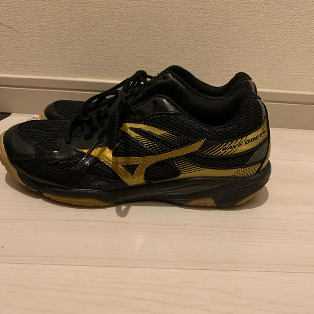 MIZUNO(ミズノ)のミズノ　室内履き用　26センチ メンズの靴/シューズ(スニーカー)の商品写真