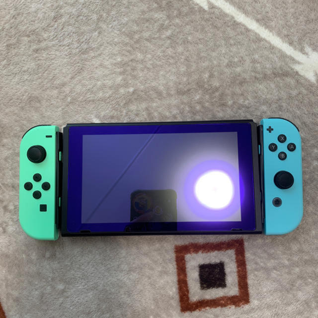 Nintendo Switch あつまれどうぶつの森セット