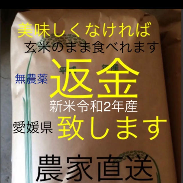 21日発送 かずちゃん米 無農薬 新米純こしひかり30㎏ 玄米 食品 食品