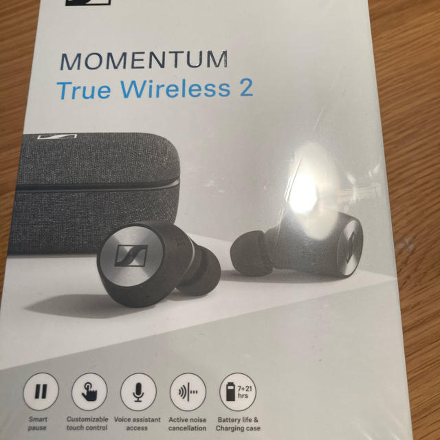 MOMENTUM True Wireless2