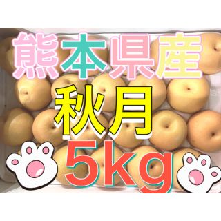 熊本県産秋月5kg(フルーツ)