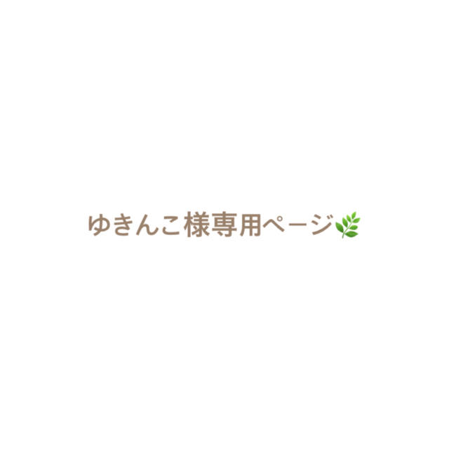 ゆきんこ様専用ページとなっております???? stuff.liu.se