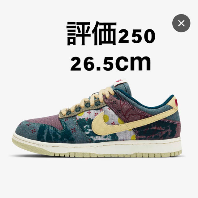 26.5 NIKE Dunk LOW SP Community Gardenスニーカー