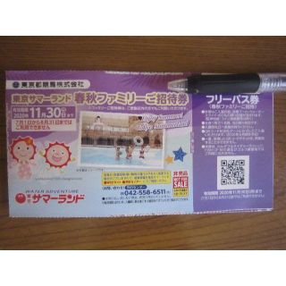 めろんさん専用、東京サマーランド　株主優待　8枚(遊園地/テーマパーク)