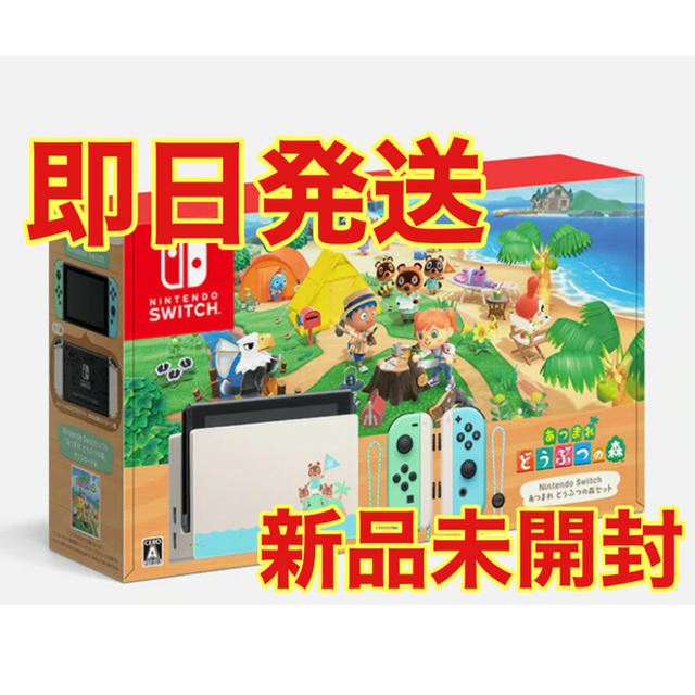 新品Nintendo Switch あつまれ どうぶつの森セット/Switch/HA