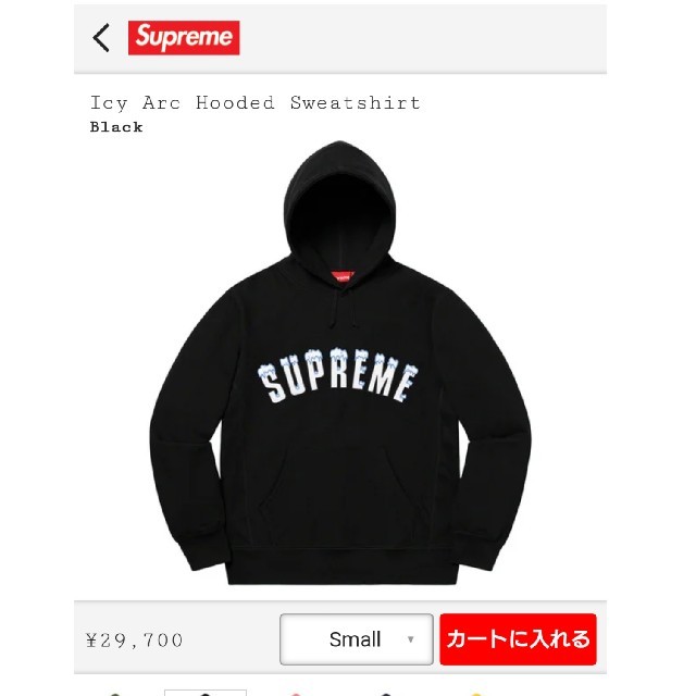 Supreme  Icy Arc Hooded Sweatshirt