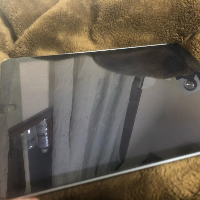 iPad 第5世代 32GB - www.husnususlu.com