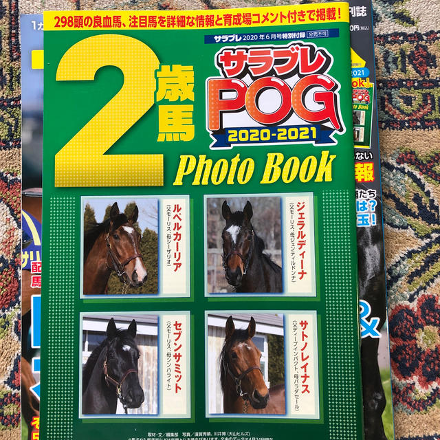 サラブレ 2020年 06月号 エンタメ/ホビーの雑誌(趣味/スポーツ)の商品写真