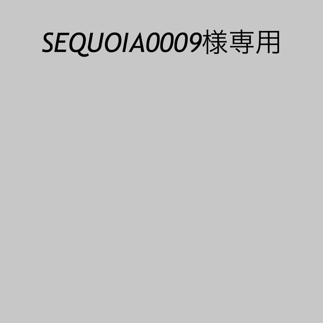 最終値下 クロムハーツ タイニーE CHプラスブレスレット