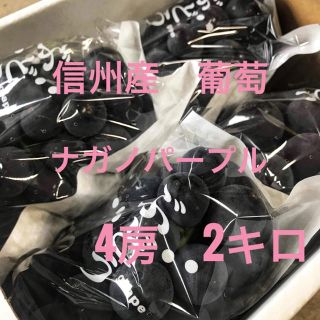 信州産　葡萄　ナガノパープル 4房2kg (フルーツ)