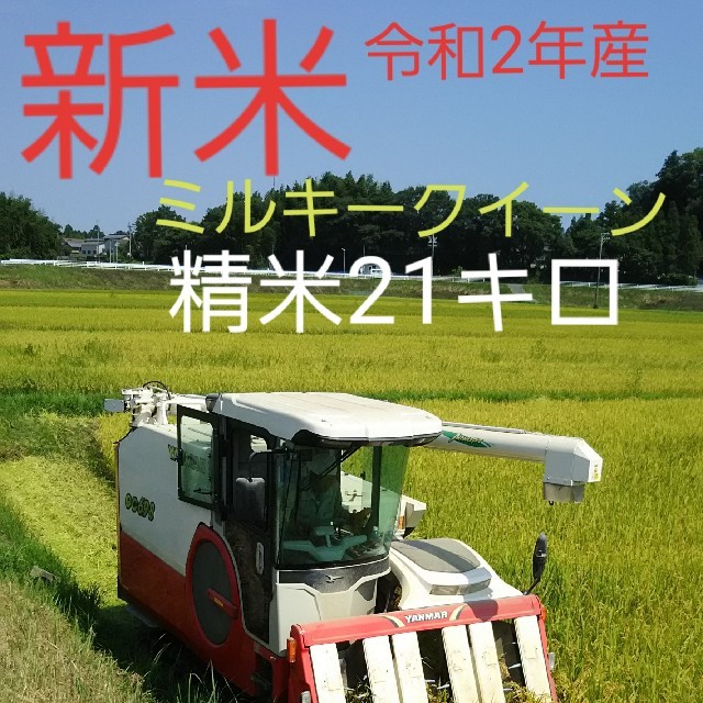 食品新米令和2年産ミルキークイーン精米21キロ、送料無料。