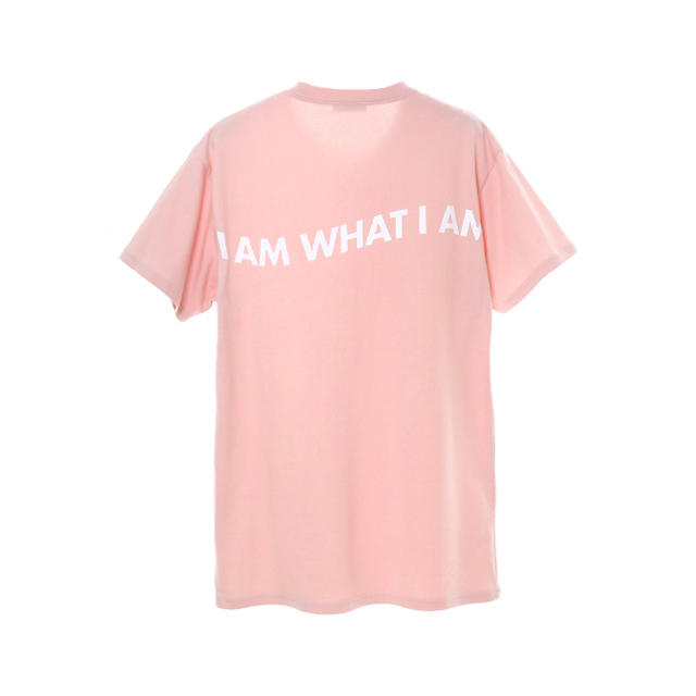 AAA(トリプルエー)のI AM WHAT I AM エンタメ/ホビーのタレントグッズ(男性タレント)の商品写真