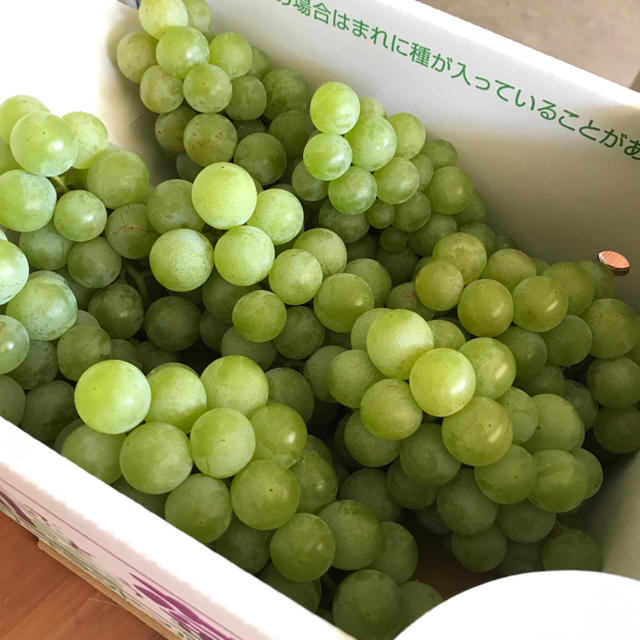 信州産　葡萄　ナイアガラ  2kg  食品/飲料/酒の食品(フルーツ)の商品写真