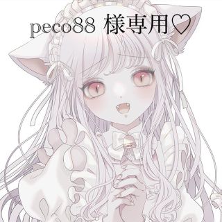 peco88様 専用♡(ピアス)