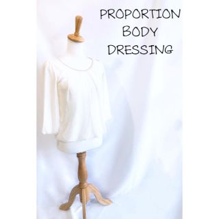 プロポーションボディドレッシング(PROPORTION BODY DRESSING)の☻︎プロポーションボディドレッシング☻︎SACHI様 専用⚠️シフォンブラウス(シャツ/ブラウス(長袖/七分))