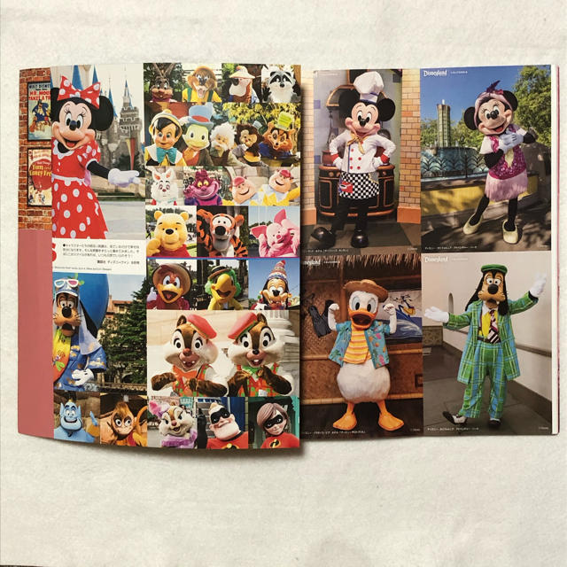 Disney(ディズニー)のディズニーファン 2020年 9月 雑誌 エンタメ/ホビーの雑誌(アート/エンタメ/ホビー)の商品写真