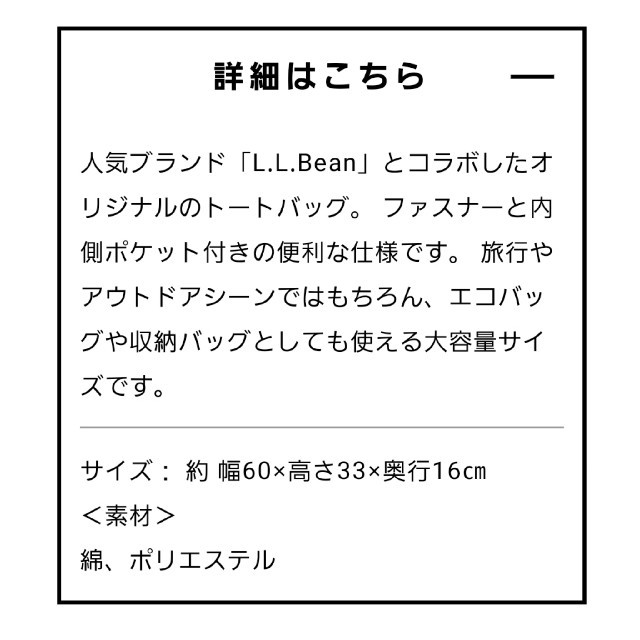 L.L.Bean(エルエルビーン)のマウントレーニア L.L.Bean トートバッグ エコバッグ 非売品 メンズのバッグ(トートバッグ)の商品写真