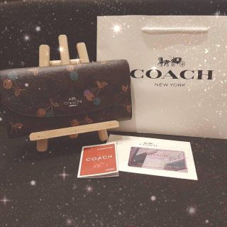 コーチ(COACH)の【限定１品】COACH 財布 F31562 ブラウンマルチ シグネチャー(財布)