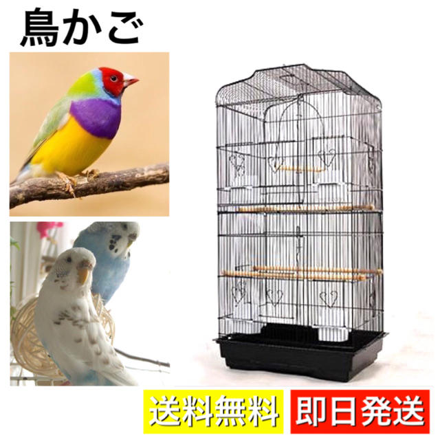 鳥かご バードケージ 鳥ケージ 組み立て式 大型 鳥小屋 ゲージ ペット 飼育