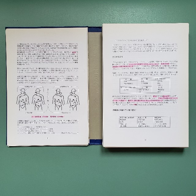 オステオパシーの基礎理解に最適 断裁済み:臨床におけるオステオパシー