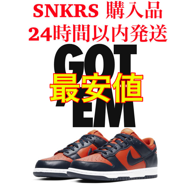 NIKE(ナイキ)のNIKE DUNK LOW SP Champ Colors 28cm メンズの靴/シューズ(スニーカー)の商品写真