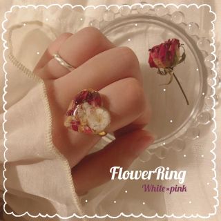 グレイル(GRL)のフラワーピンクRing🤍ハンドメイド ドライフラワー レジン お花 指輪(リング)